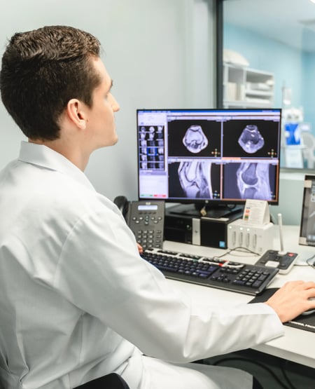 Physician viewing magnetic resonance images on a computer