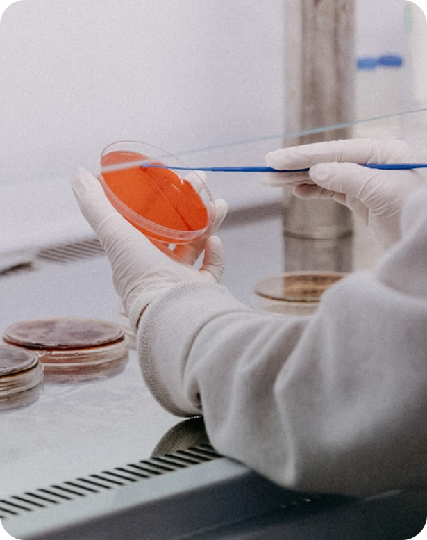 Científico manipulando una placa de Petri con medio de cultivo rojo en laboratorio